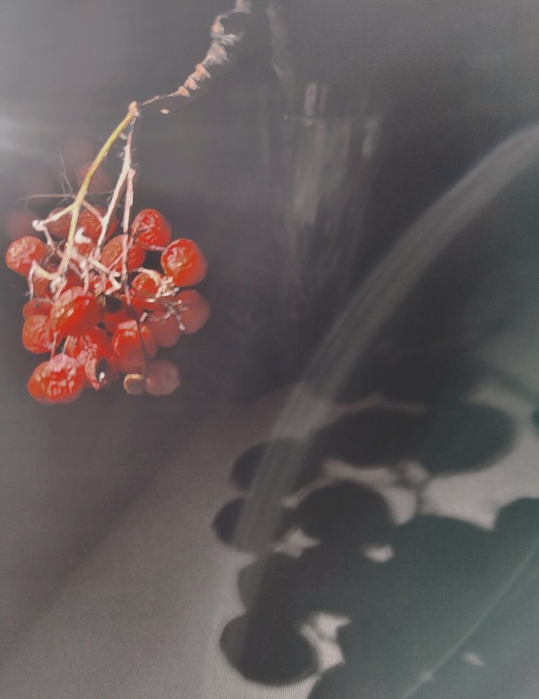 Photograph by Татьяна Гулакова