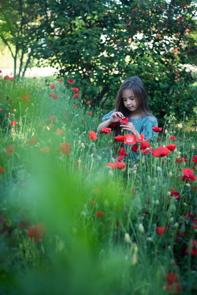 Photograph by Елена Петренко