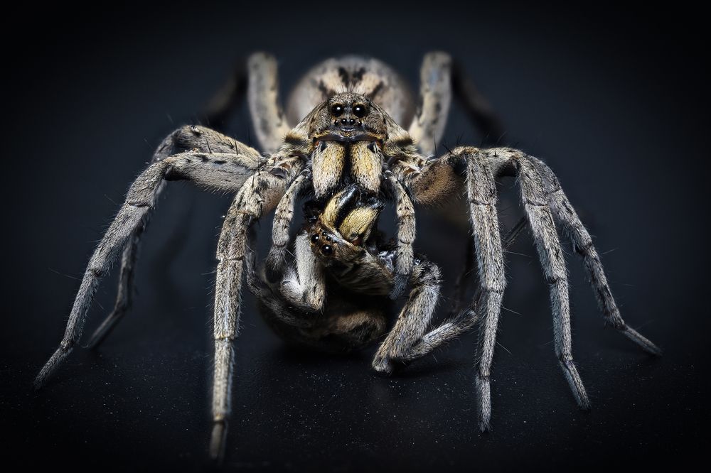 Photograph by Ernie Favaro