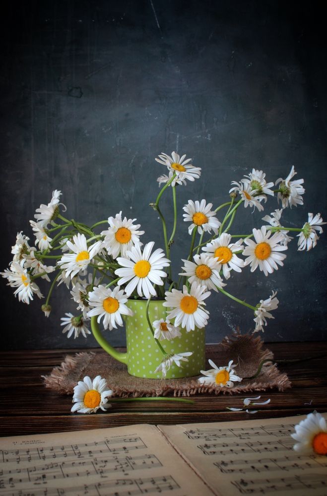 Photograph by Светлана