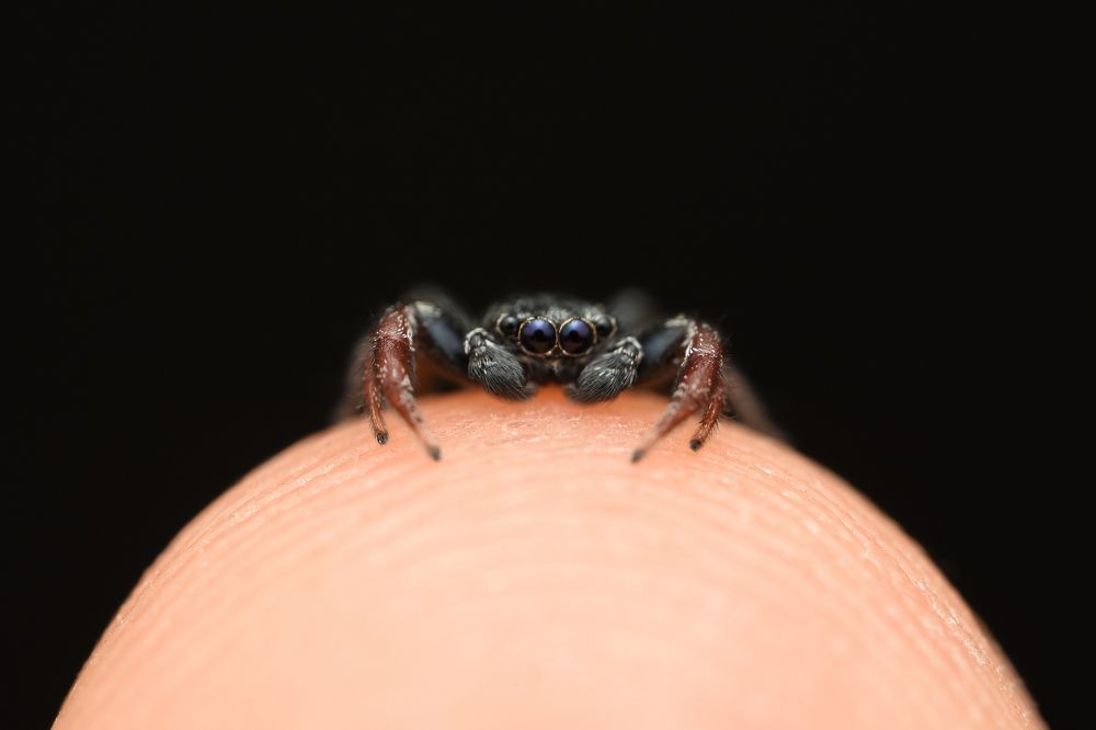 Photograph by Ernie Favaro