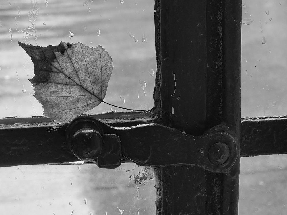 Photograph by Catherine Walter-Prêtre