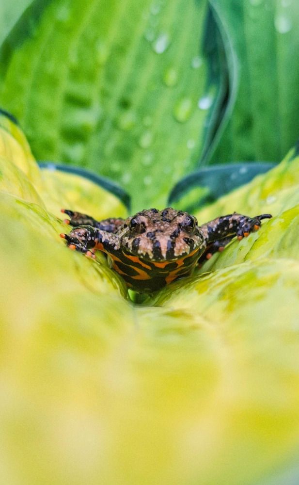 Photograph by Tatiana Kirillova