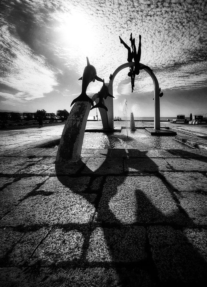 Photograph by Микрокосмос Владимир