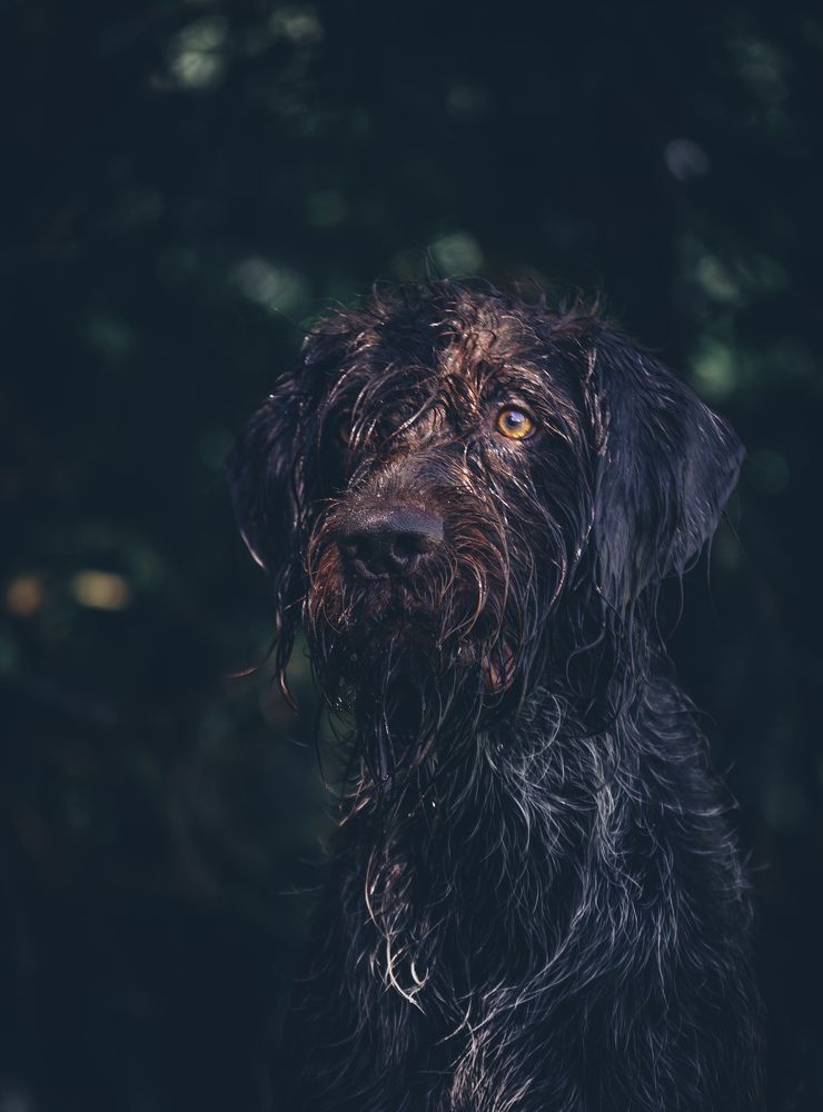 Photograph by Ольга Глущенко