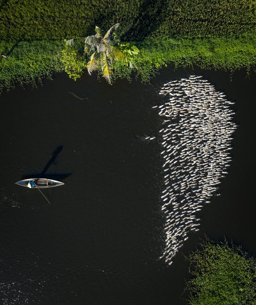 Photograph by Nguyen Phan Dung Nhan