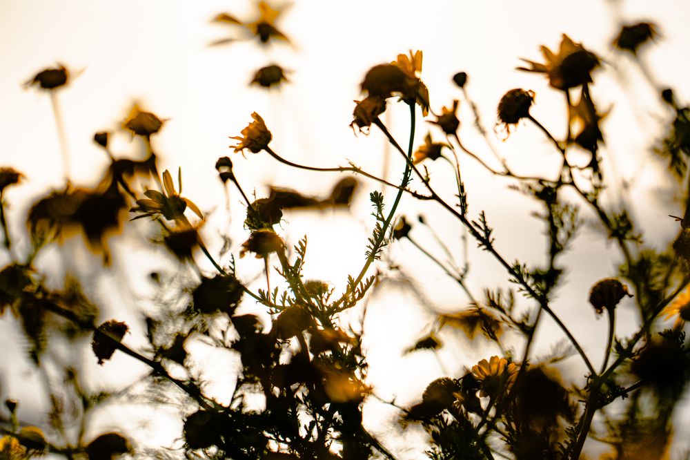 Photograph by Igor Shulkin