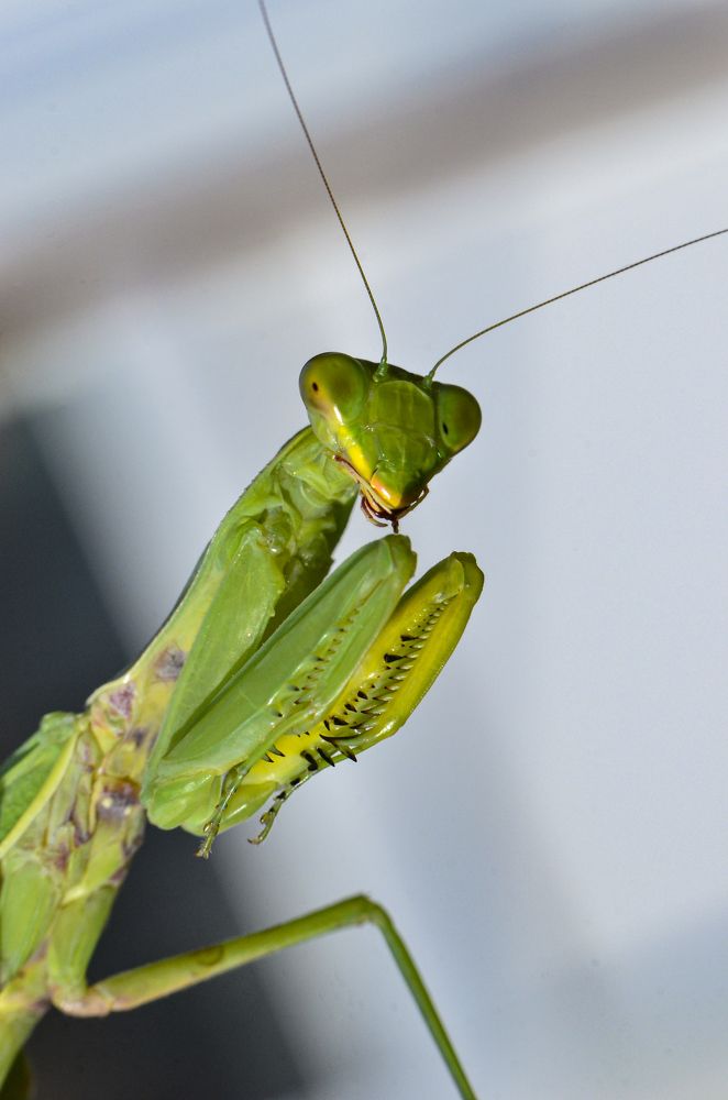 Photograph by Римма Волченко