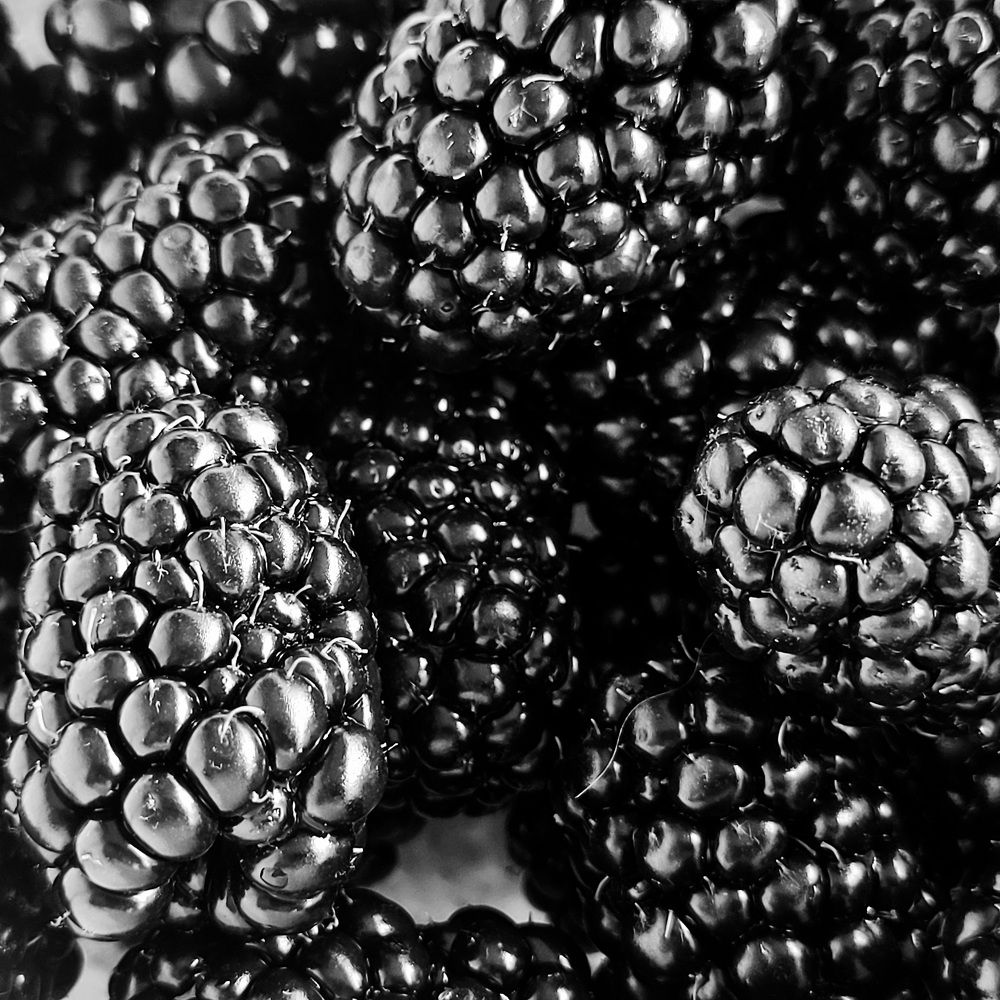 Photograph by Catherine Walter-Prêtre