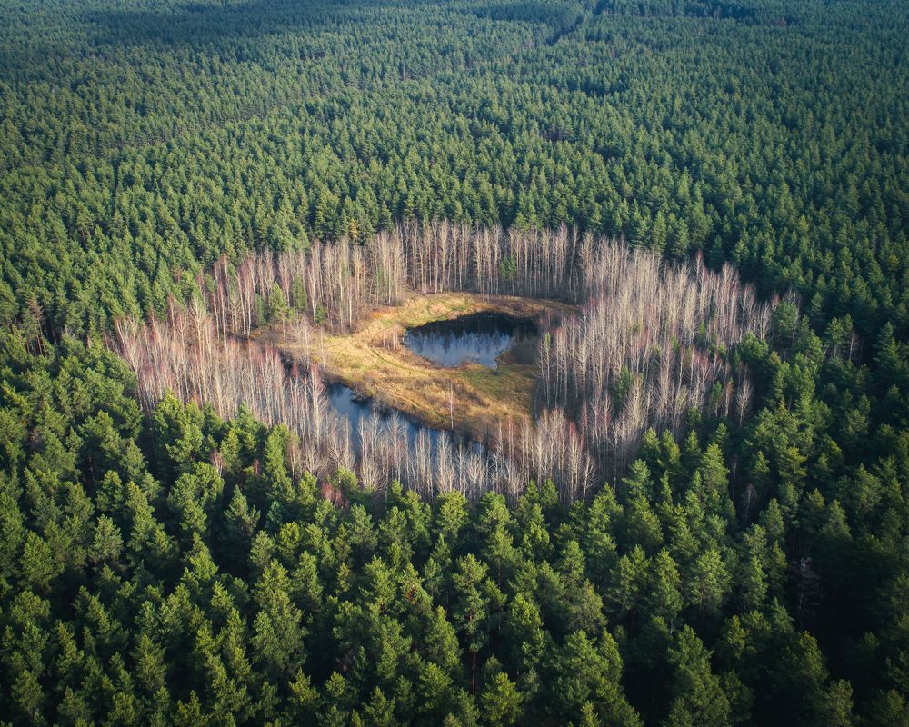 Photograph by Александр Давидик