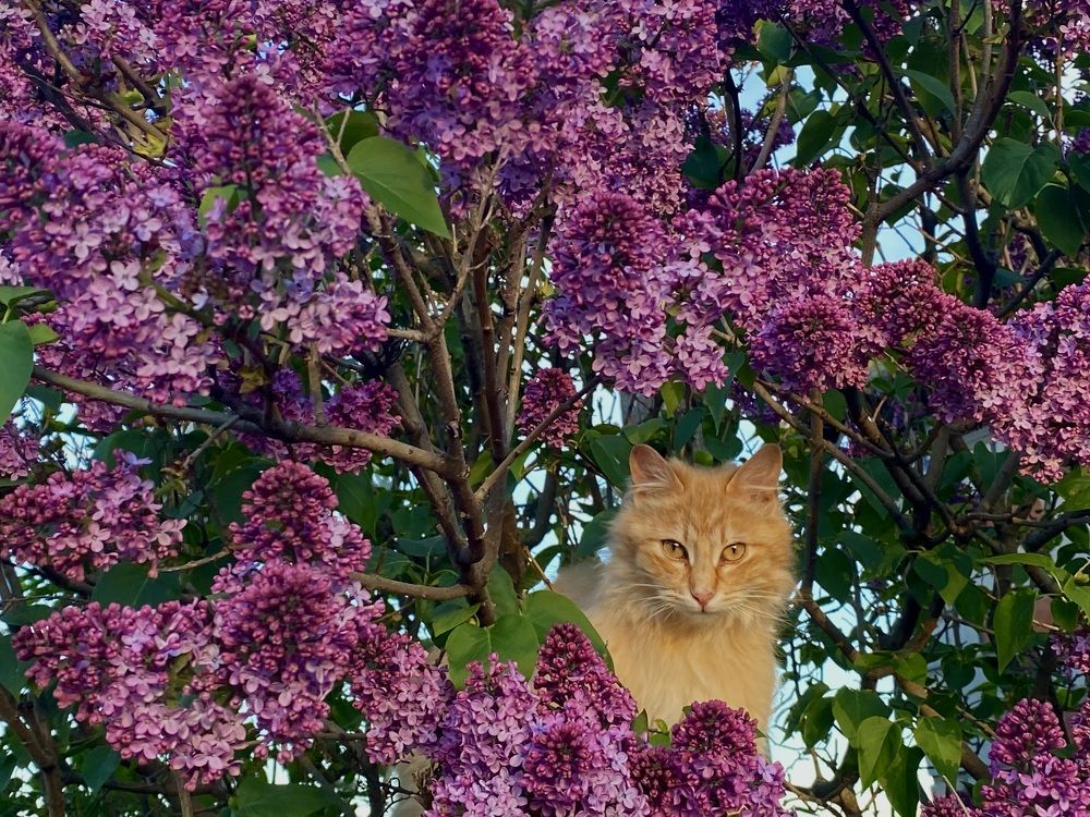 Photograph by Софья Цыбулько