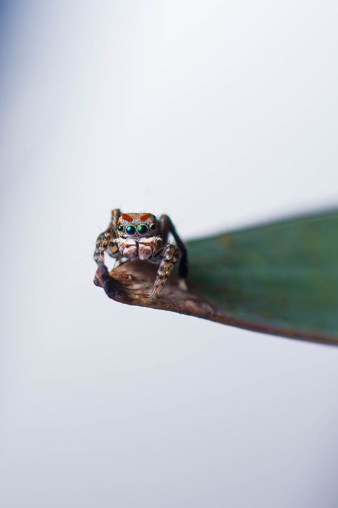 Photograph by Ernie Favaro