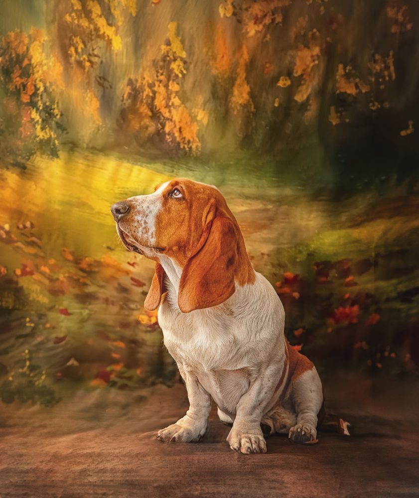 Photograph by Софья Сагитова