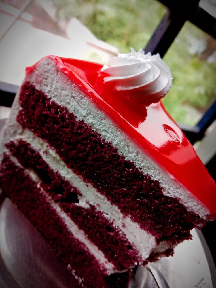 Фотография автора Captured Chronicles