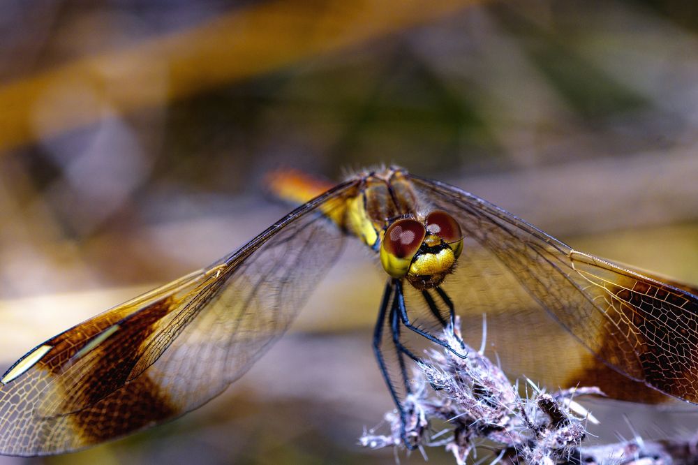 Фотография автора Андрей Жданов
