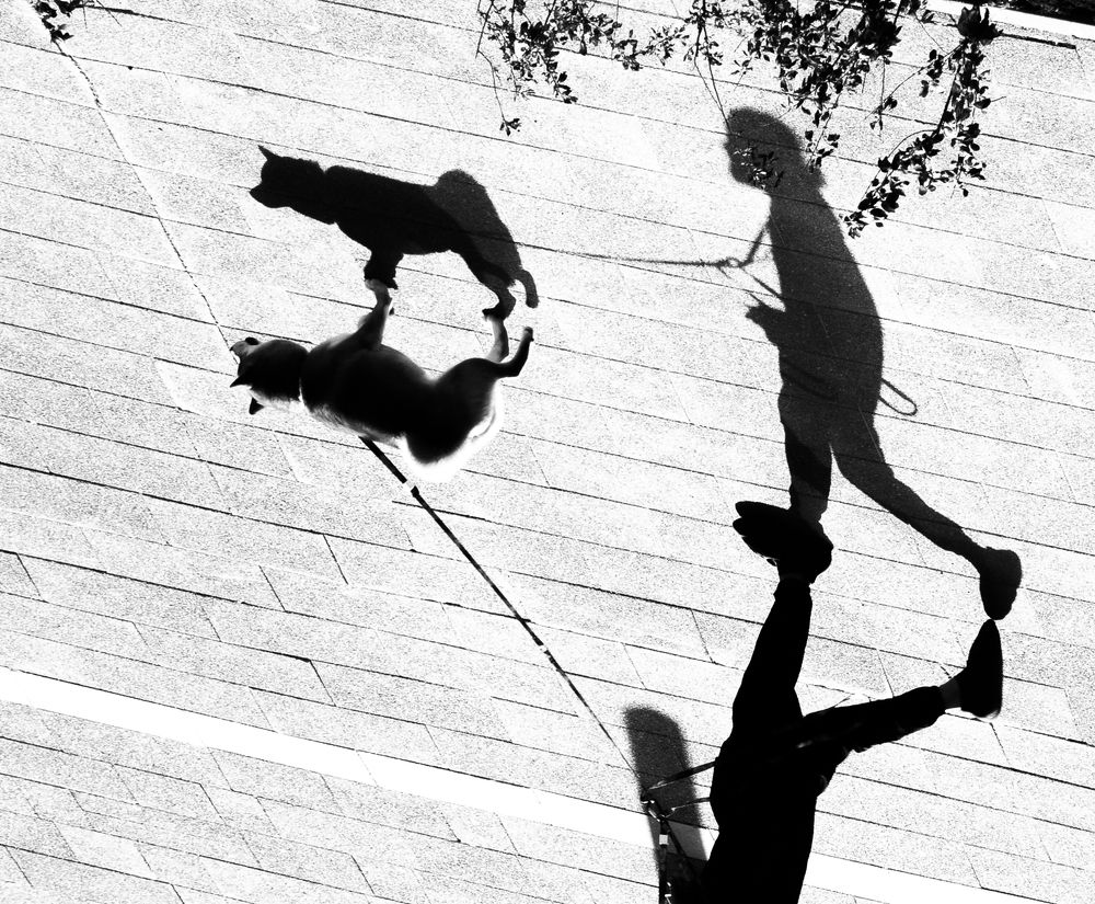 Photograph by Aleksandr Kolonsky