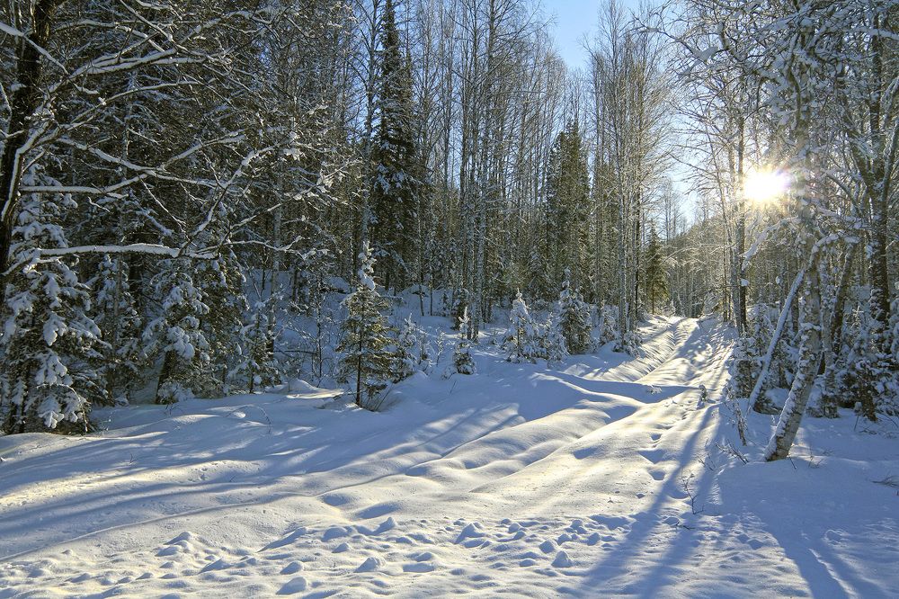 Голубые тени...