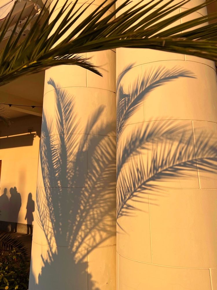 Photograph by Яна Сел