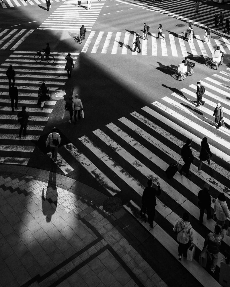 Photograph by Madushanka Dinesh