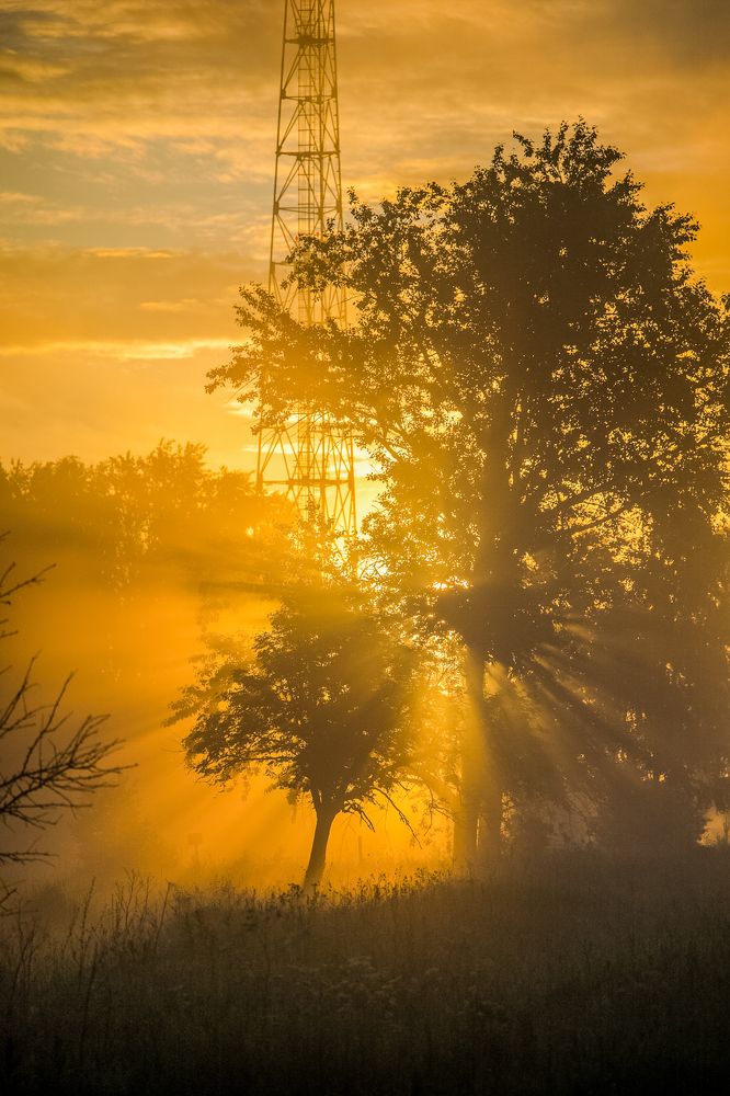 Photograph by Сергей Конюшенко