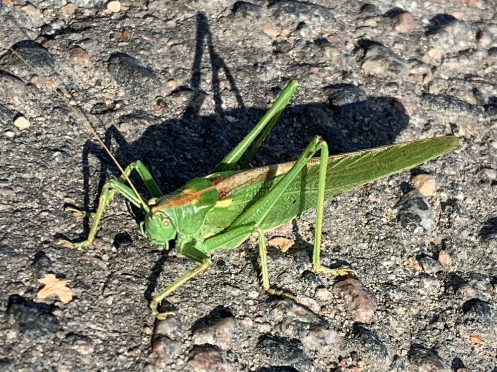 Photograph by Ирина Шпаковская