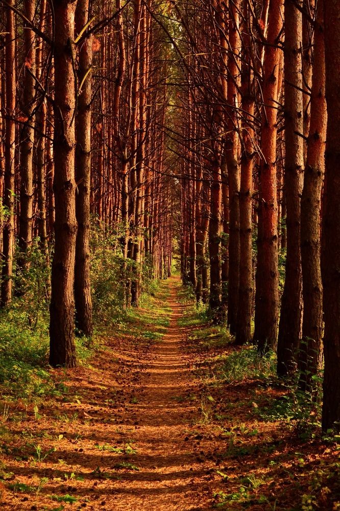 Photograph by Andrey