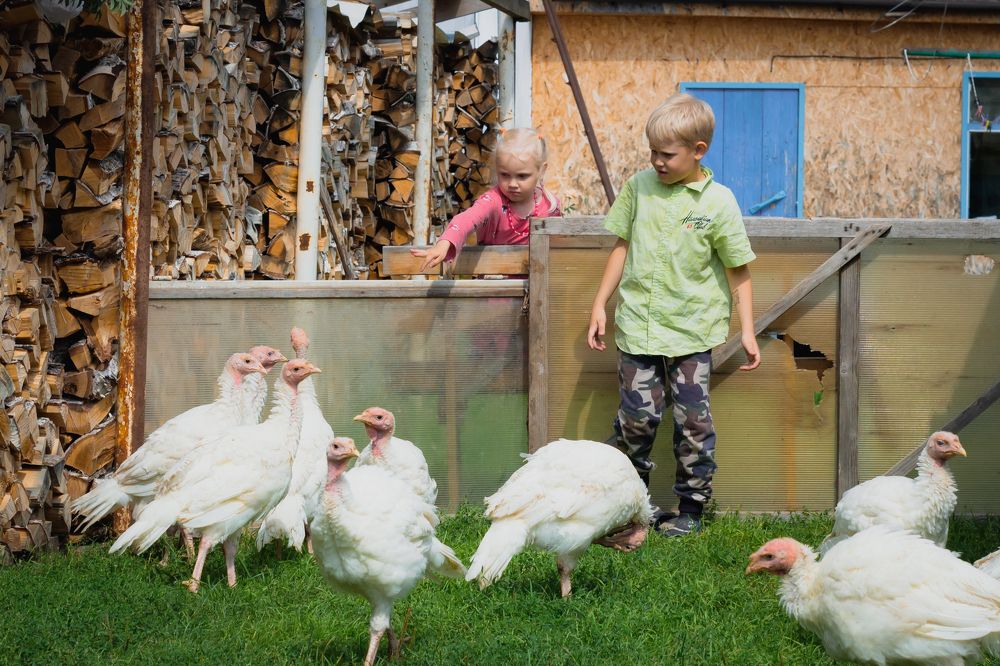 Photograph by Лина Матвеева