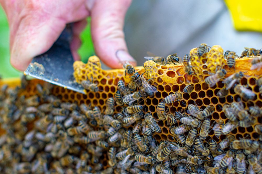 Photograph by Лина Матвеева