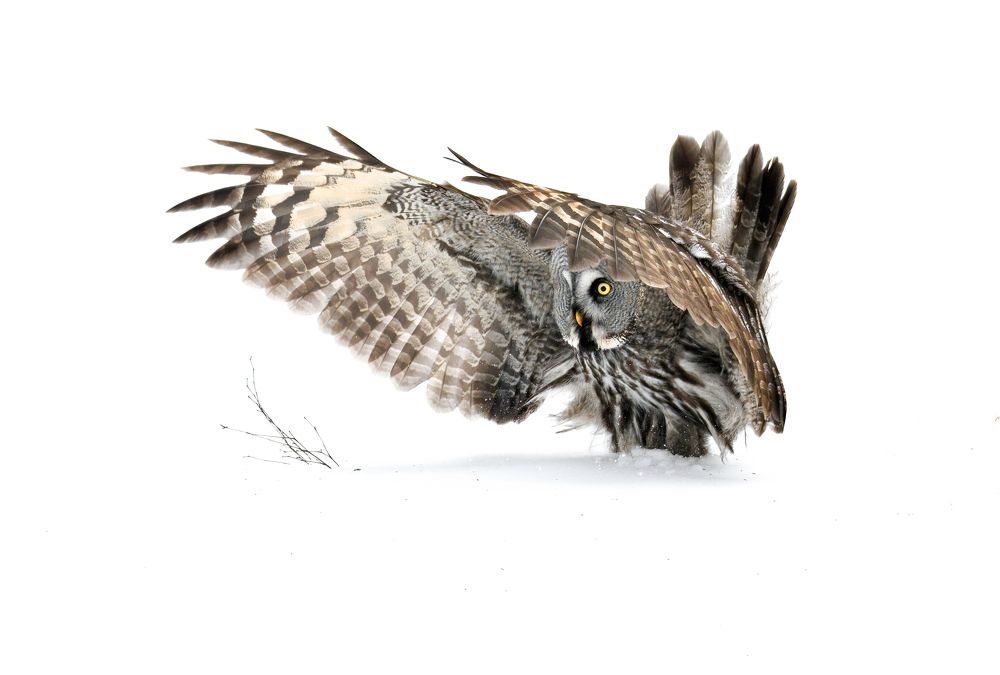 Как выпрыгну, как выскочу