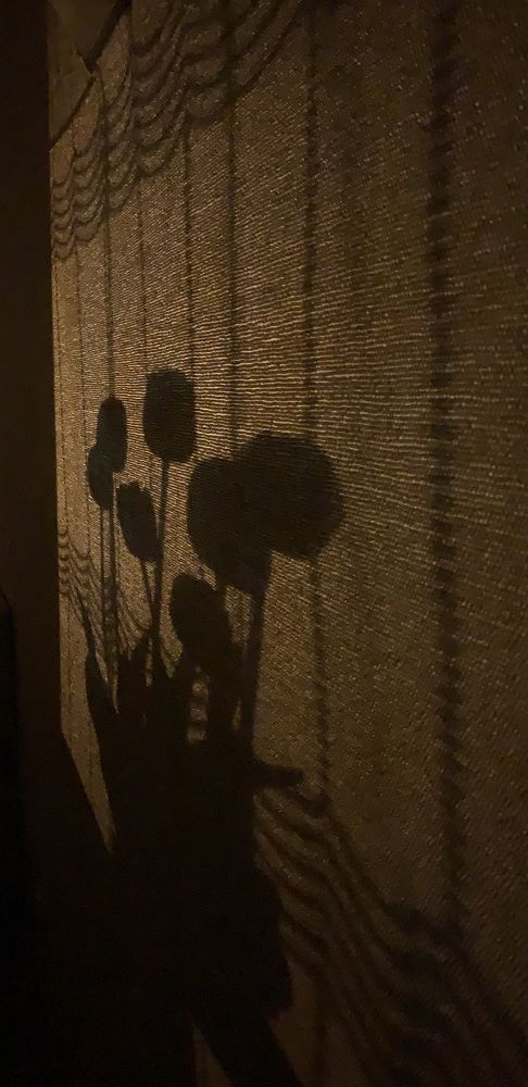 Фотография автора Ирина Шпаковская