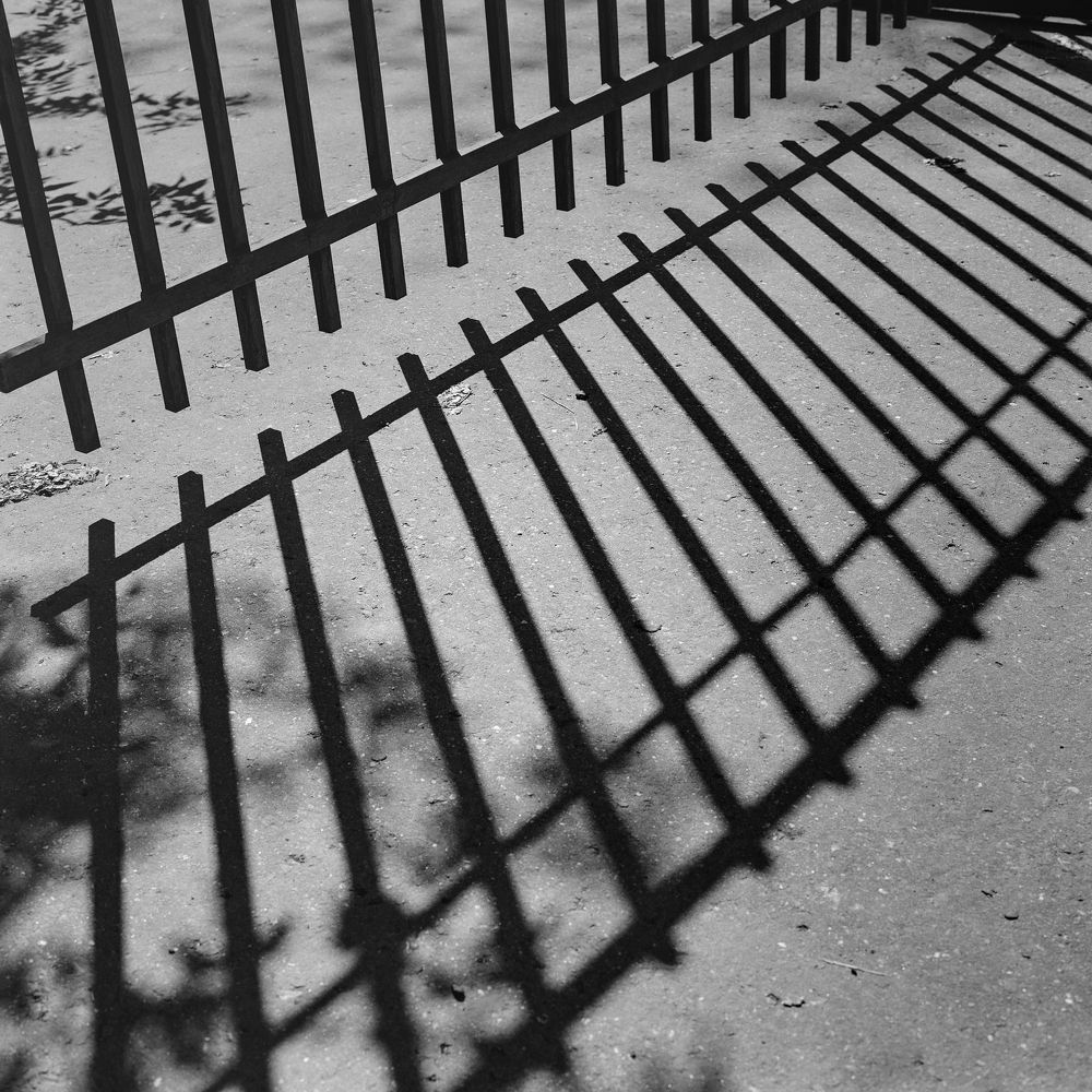 Photograph by Артем Явтушенко