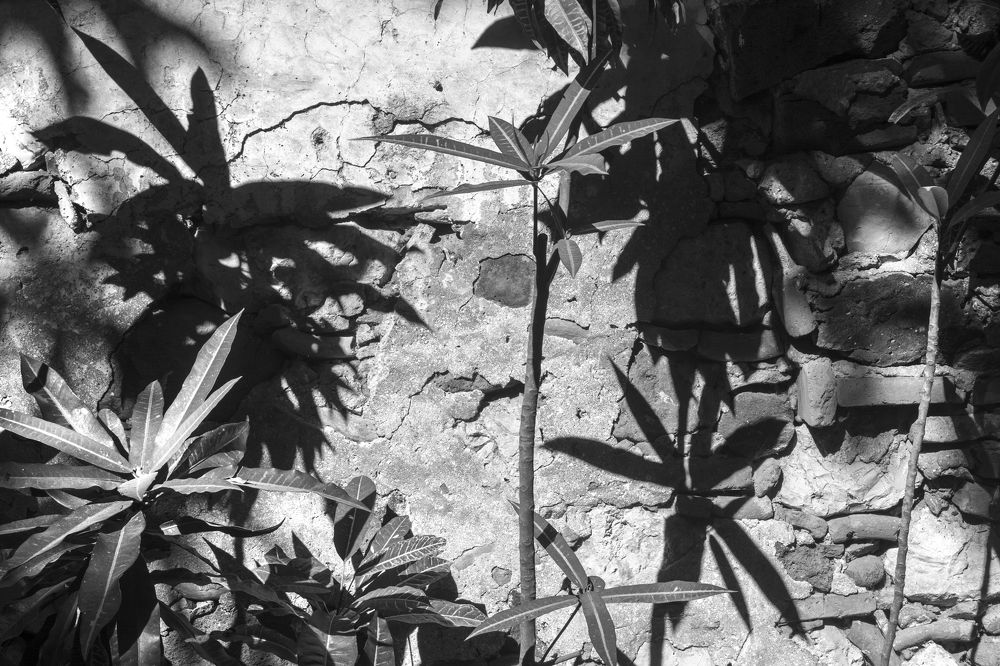 Photograph by gustavo gatto