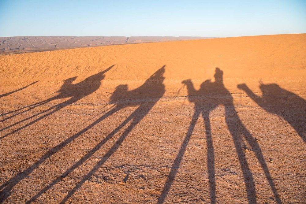 Photograph by Леонид Синев