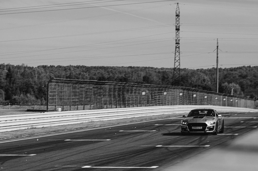 Фотография автора Алина Руденко