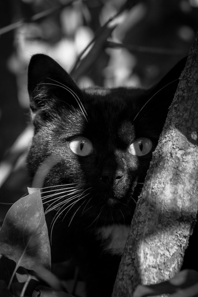 Photograph by Анастасия Псарёва