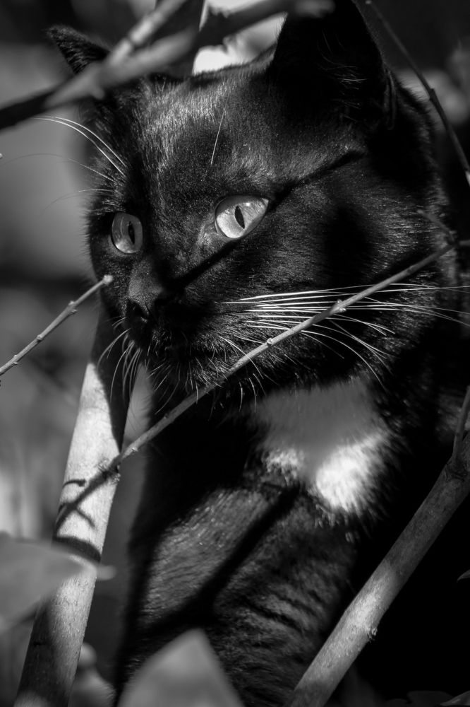 Photograph by Анастасия Псарёва