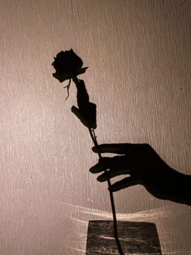 Фотография автора Лариса Гришкевич