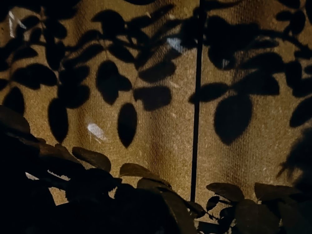 Photograph by Куделенко Оксана