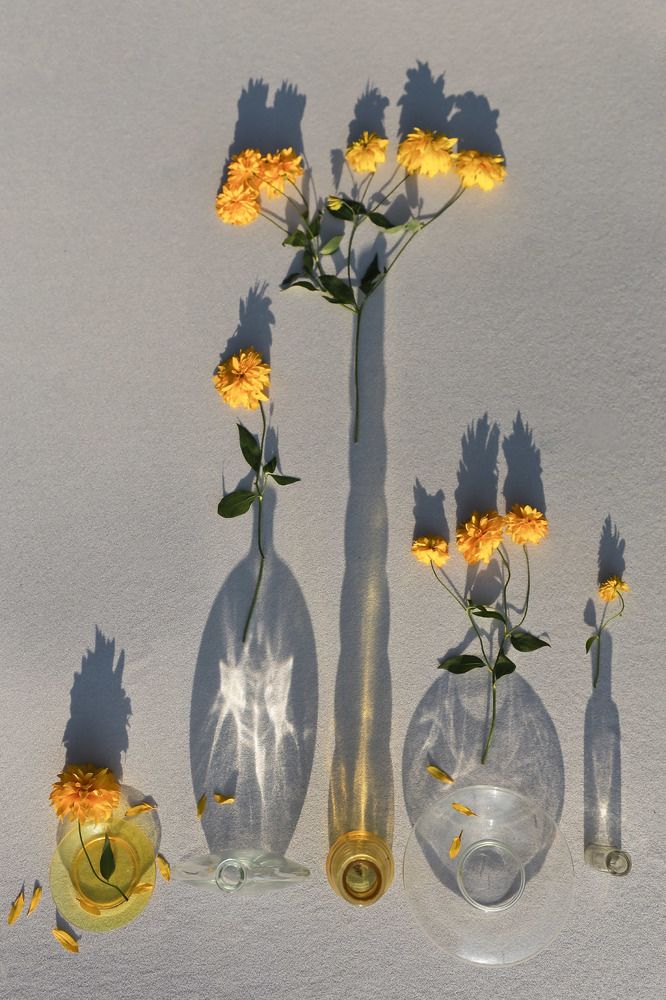 Натюрморт света