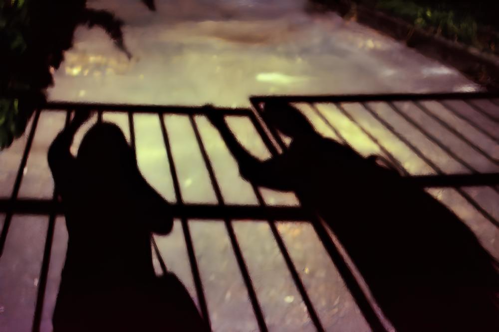 Photograph by Карина Плахова