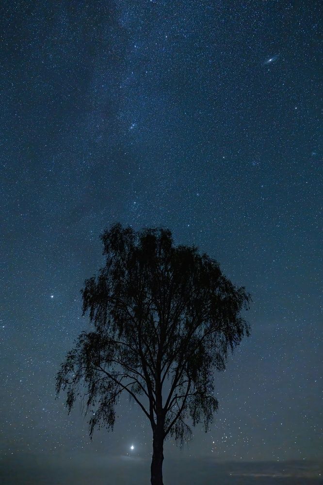 Photograph by Сергей Хабаров