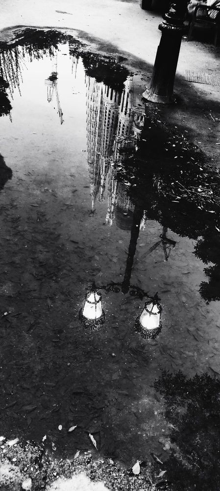 Symmetry in a puddle of water