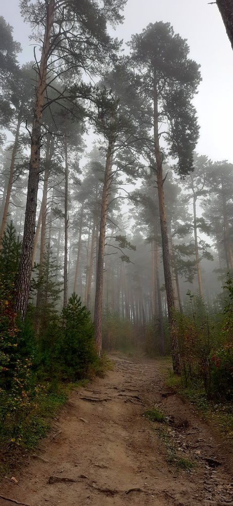 Photograph by Елена Дубовская