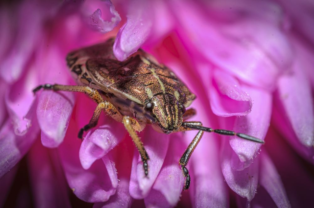 Фотография автора Юрий