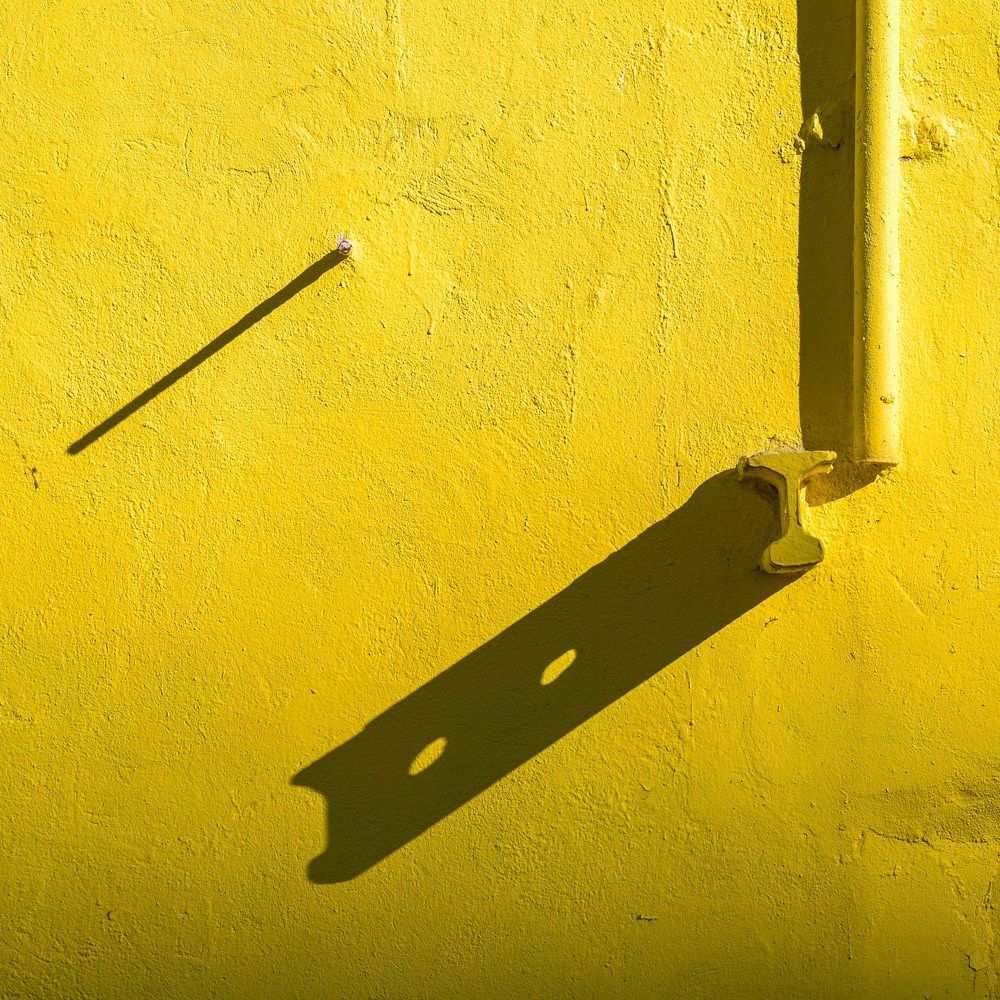 Photograph by Леонид Синев