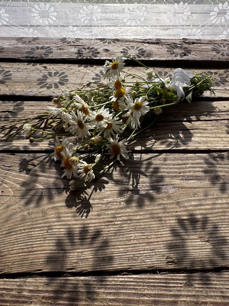 Photograph by Аверьянова Наталья