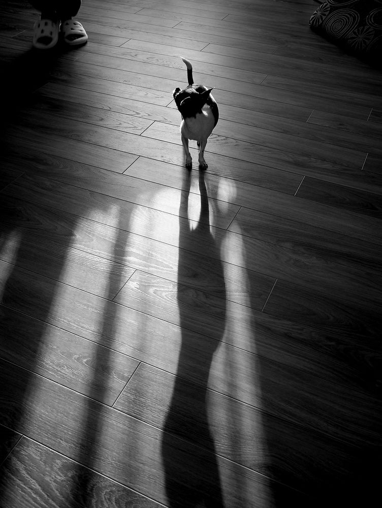 Фотография автора Наталья Новикова