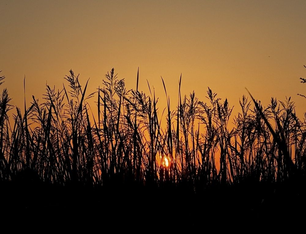 Photograph by Аверьянова Наталья
