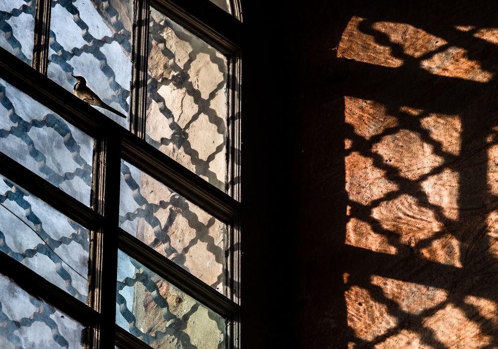 Photograph by Анна Стрелковская