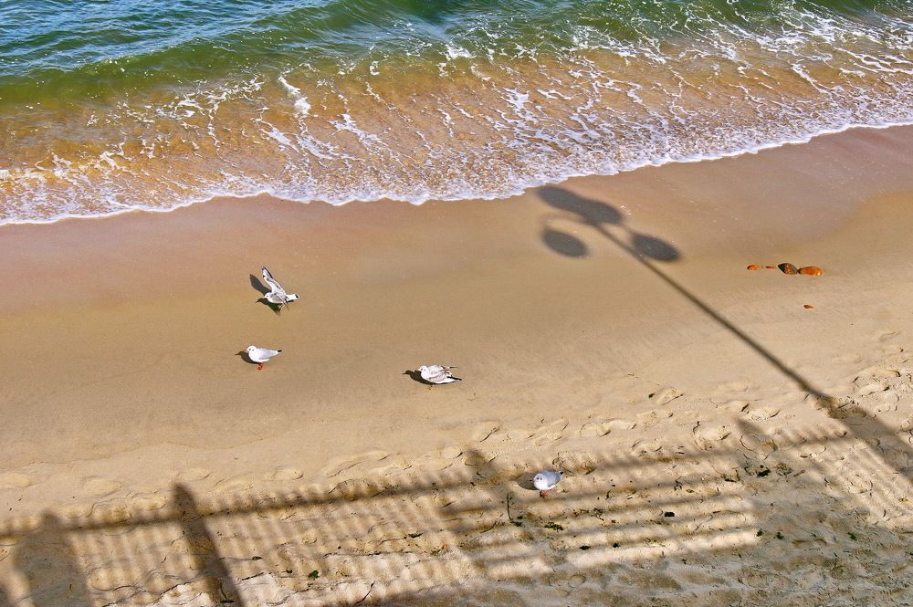 Фотография автора Ирина Кухарчук